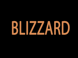 Blizzard Hesap Silme